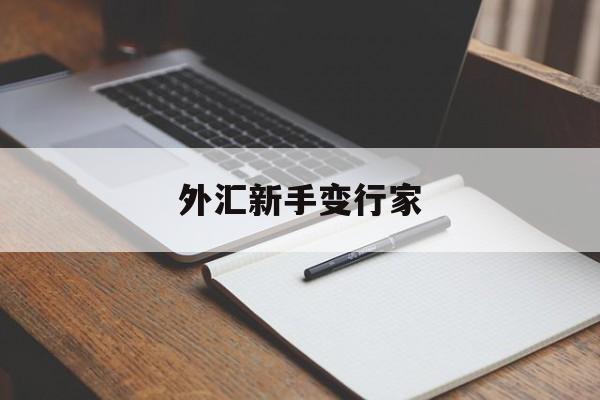 外汇新手变行家(外汇新手入门讲解)